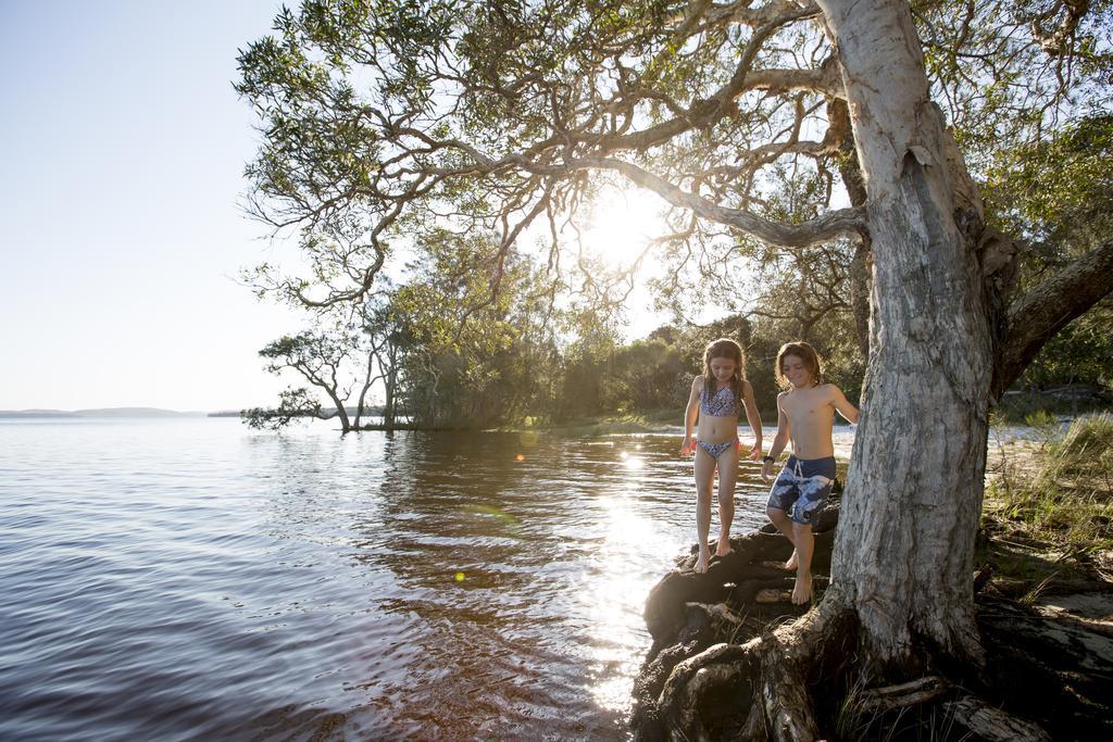 Nrma Myall Shores Holiday Park بولاهديلاه المظهر الخارجي الصورة